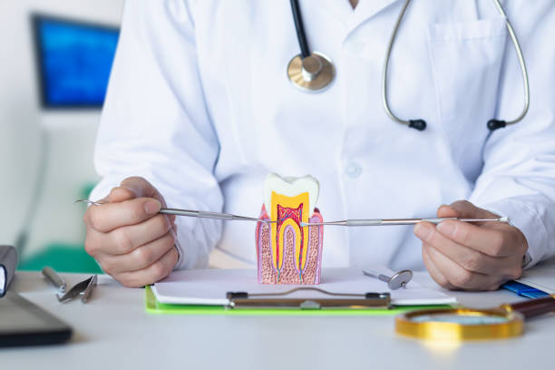 Best Chipped Tooth Repair Near Me  in Village Of The Branch, NY